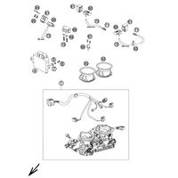DROSSELKLAPPENKOERPER