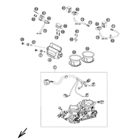 DROSSELKLAPPENKOERPER