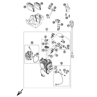 DROSSELKLAPPENKOERPER