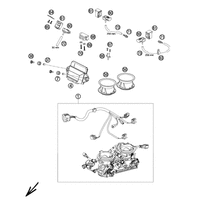DROSSELKLAPPENKOERPER