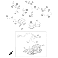 DROSSELKLAPPENKOERPER