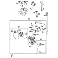 DROSSELKLAPPENKOERPER