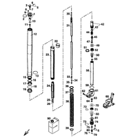 GABELBEINE WP USD 43