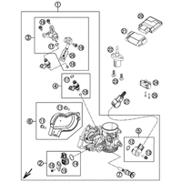 DROSSELKLAPPENKOERPER