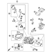 DROSSELKLAPPENKOERPER