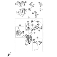 DROSSELKLAPPENKOERPER