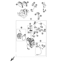 DROSSELKLAPPENKOERPER