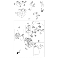 DROSSELKLAPPENKOERPER