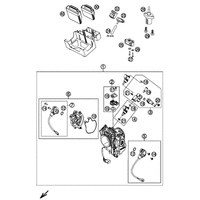 DROSSELKLAPPENKOERPER