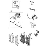 NEUTEILE 250 SXS MOTOR