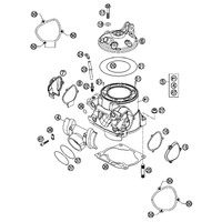 ZYLINDER /  ZYLINDERKOPF