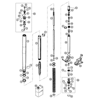 GABELBEINE WP USD 48 125 SX  