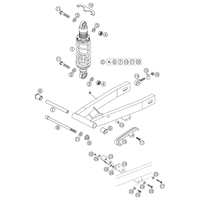 SCHWINGARM / FEDERBEIN 50 LC JUNIOR LC