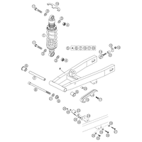 SCHWINGARM / FEDERBEIN 50 LC SENIOR LC