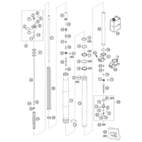 GABELBEINE WP USD 43 625 SXC