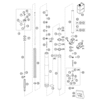 GABELBEINE WP USD 43 625 SXC