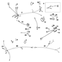 KABELSTRANG SXC, SX M.BLINKER AUSTRALIEN  `99