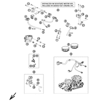 DROSSELKLAPPENKOERPER