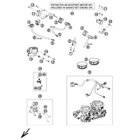 DROSSELKLAPPENKOERPER