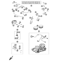 DROSSELKLAPPENKOERPER