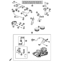 DROSSELKLAPPENKOERPER