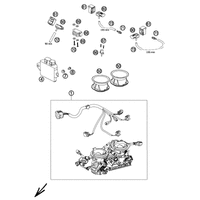 DROSSELKLAPPENKOERPER