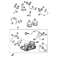 DROSSELKLAPPENKOERPER