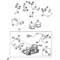 DROSSELKLAPPENKOERPER