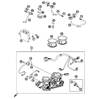 DROSSELKLAPPENKOERPER