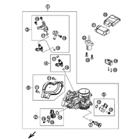 DROSSELKLAPPENKOERPER