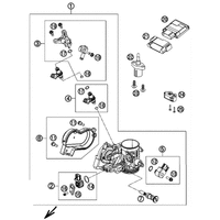 DROSSELKLAPPENKOERPER