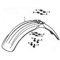 KOTFLUEGEL VORN
