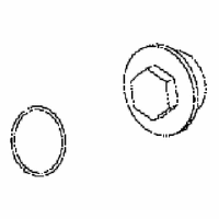 OELEINFUELLSCHRAUBE