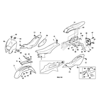 STREIFEN /  KOTFLUEGEL /  SATTEL / SCHILDTRAEGER