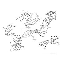 STREIFEN / KOTFLUGEL / SATTEL (2 / USA)