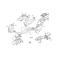 STREIFEN / KOTFLUGEL / SATTEL (2 / USA)