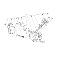 DROSSELKLAPPENKOERPER