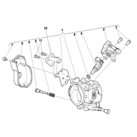 DROSSELKLAPPENKOERPER