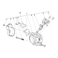 DROSSELKLAPPENKOERPER