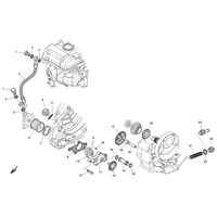 OELFILTER / OELPUMPE