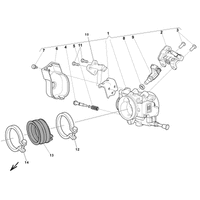DROSSELKLAPPENKOERPER