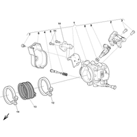 DROSSELKLAPPENKOERPER