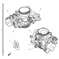DROSSELKLAPPENKOERPER