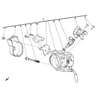 DROSSELKLAPPENKOERPER