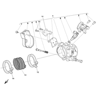 DROSSELKLAPPENKOERPER