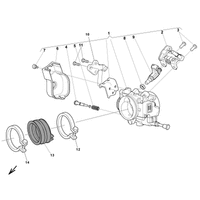 DROSSELKLAPPENKOERPER