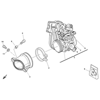 DROSSELKLAPPENKOERPER