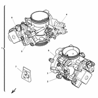 DROSSELKLAPPENKOERPER