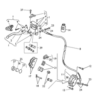 VORDERBREMSE (TE, TC)