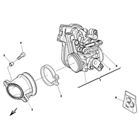 DROSSELKLAPPENKOERPER